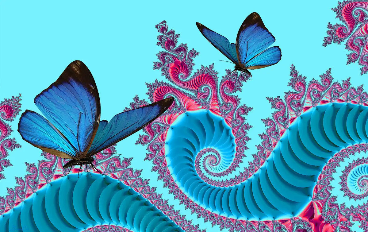 Butterfly Fractal Canvas Wall Art "Abstract Butterflies" ZKoriginal