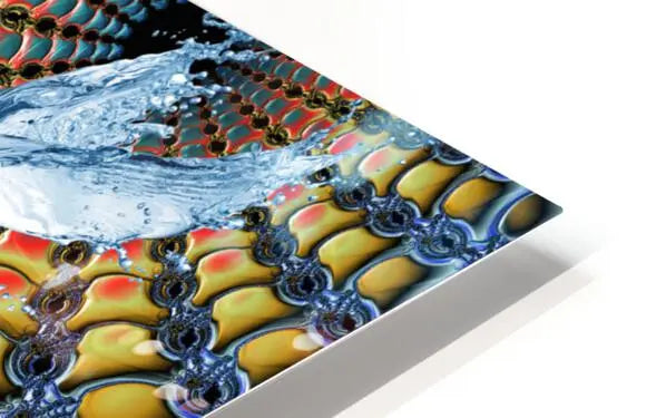 Contemporary Wall Art for Home "Aquatic Ascension" ZKoriginal